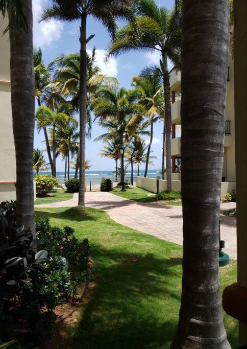 1St Level Unit Steps To Beach- Cold Air Conditioner At Poza Del Mar Luquillo Exteriér fotografie